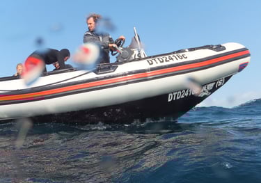 dive rib, Aliwal Shoal, Umkomaas, South Africa