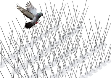 Bird Spikes