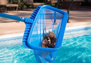 pool-nylon-bristle-brush