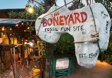 The Boneyard