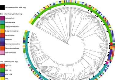analisis metagenoma bioinformatica mexico