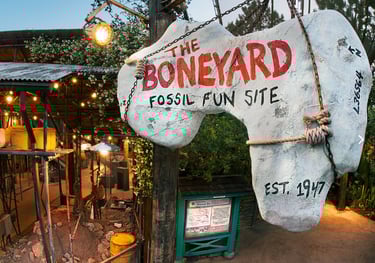 The Boneyard