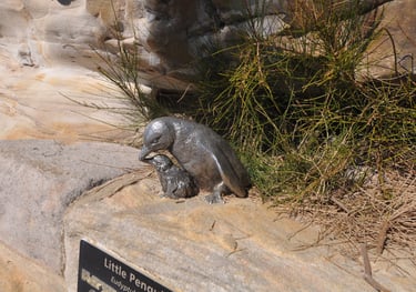 sculptures at Manly beach front, Sydney, Australia