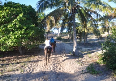 Nick and Tracey Billington Horse riding at Tofo Beach, Praia do Tofo, Mozambique