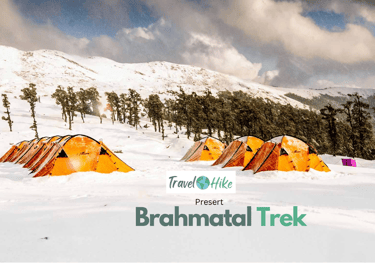 Trekkers scaling the lush trails of the Himalayas.