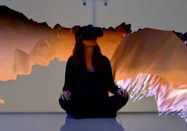 digital art, video installation,  joanna wlaszyn