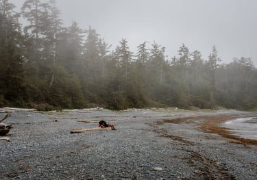 a person sitting on a log in the middle of a beach