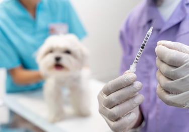 dog vaccine cat vaccine