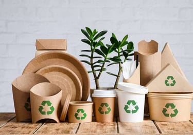 a group of paper cups with a plant in a cardboard box