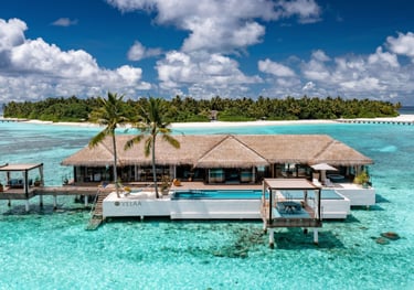 a house with a thatched roof and a thatched roof, Velaa Private Island