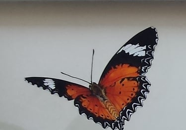 Détail d'une fresque murale extérieure: un beau papillon orangé vole. Lons-le-Saunier, Jura, 39.