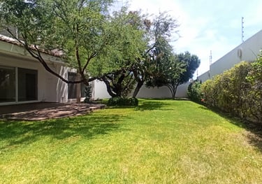 jardin con árboles frondosos y arbustos de casa en juriquilla