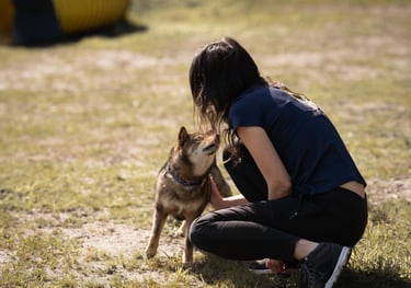 éducatrice canine spécialisée en agility, école du chiot et soins coopératifs en gironde