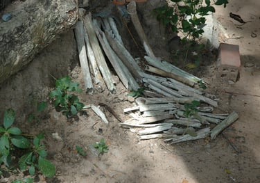 Choeung Human Bones at Choeung Ek Genocide Centre, Phnom Penh, Cambodia