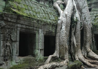 Ta Prohm, the Tomb Raider Temple, Angkor Wat, Siem Reap, Cambodia