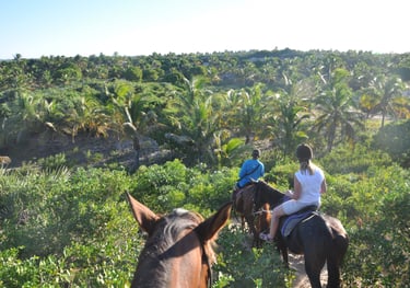 Nick and Tracey Billington Horse riding at Tofo Beach, Praia do Tofo, Mozambique