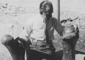 Imagem dos fósseis de megafauna de Araxá: “Fósseis da megafauna de Araxá descobertos sob a Fonte And