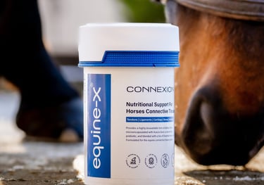 a horse with a tub of connexion horse tendon supplement