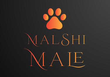 MalShi Male Perfect Paw Pups Logo