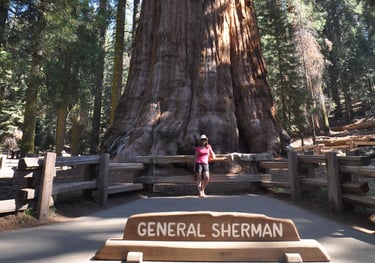 a woman standing in front of General Sherman the worlds largest tree