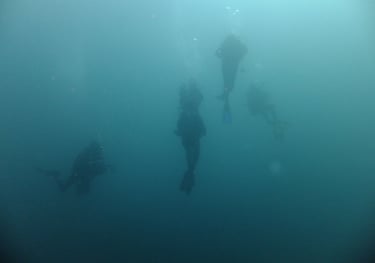 Divers, Aliwal Shoal, Umkomaas, South Africa