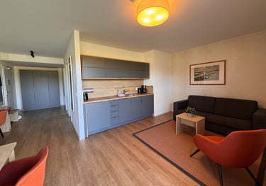 Wohnzimmer mit Küchenzeile, Couch und Sessel