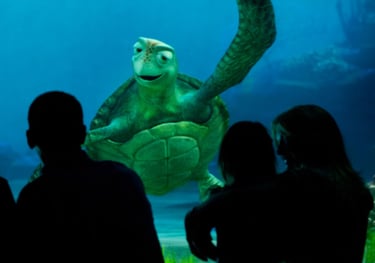 Turtle Talk With Crush