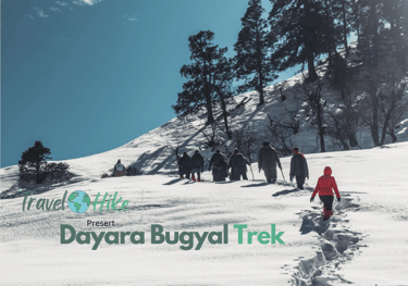 Trekkers scaling the lush trails of the Himalayas.