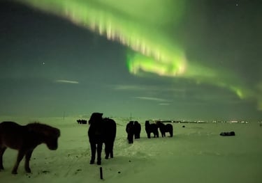 northern lights, iceland