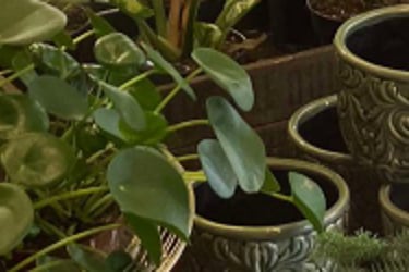 Uniikit ruukut ja vaasit