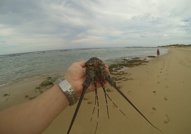 man digging for crustaceans at tofo Beach, Praia do Tofo, Mozambique