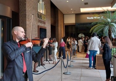 ivan fritzen violinista shopping cidade jardim