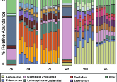 analisis microbioma bioinformatica mexico