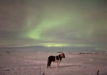 Aurora borealis or Northern Lights near Selfoss, Iceland