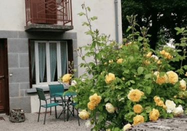 La petite cour devant le gîte avec la table et les chaises vertes, et un rosier jaune en floraison