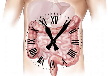 Image of digestive system with clock overlay symbolizing constipation.