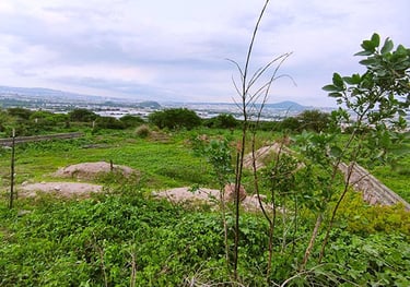 terreno plano regular de 1500 m2 en valle dorado
