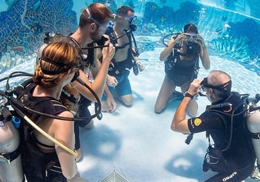 Cursos de buceo