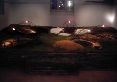 Installation Another installation: Reconstruction of Two Versions of Holes—Goethe Institute in Ale