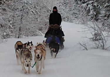 dogsledding