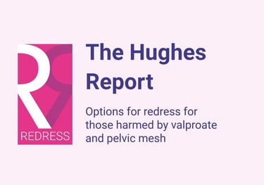 Image of part of the cover of the Hughes Report