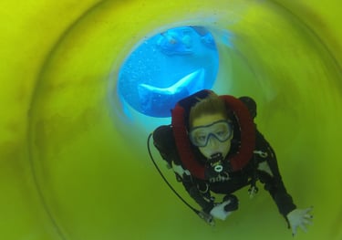 Formation Recycleur Lungfish 