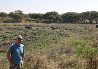 rino in the Isimangaliso wetland park, St Lucia, South Africa