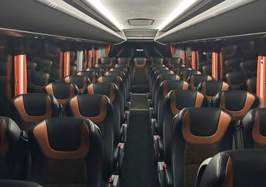 Mercedes Indicar Interior