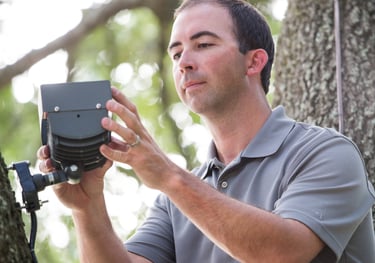 landscape lighting technician servicing a light in tree