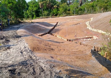 Recuperação de Áreas Degradadas