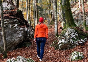 walking through the wood