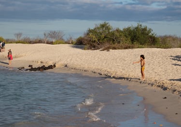 Curated tailor-made journey through the Galapagos Islands