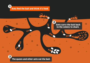 TLC Upstate Lawn & Pest Fire Ant Bait Treatment