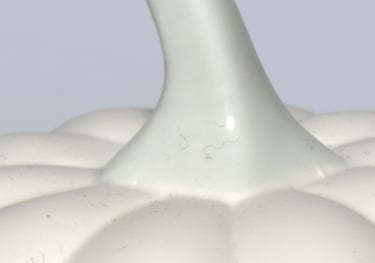 Close up product image showing dust and hairs showing the importance of preparation and cleaning